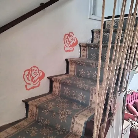 Agreable Maison Au Centre De Sur Agout Appartement *